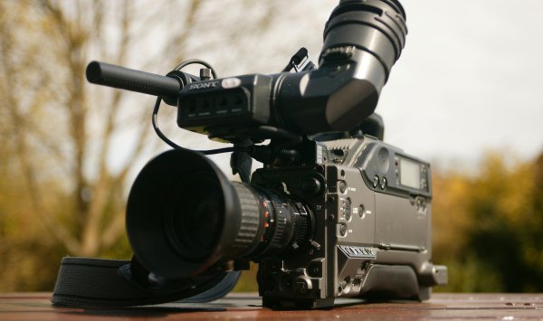 Парадокс: болгары избегают новостей, но являются одними из наиболее уязвимых к дезинформации