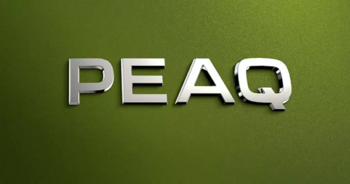 Škoda раскрыла название флагманского электрического внедорожника