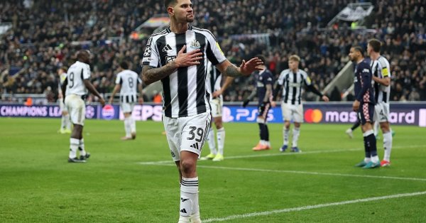 Сороки беспокоятся о своем талисмане