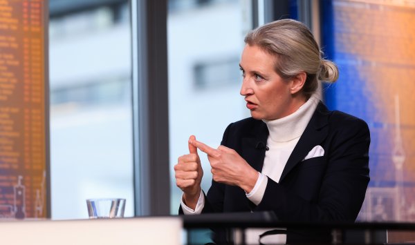 План Трампа по Гренландии нервирует даже крайне правых в Европе