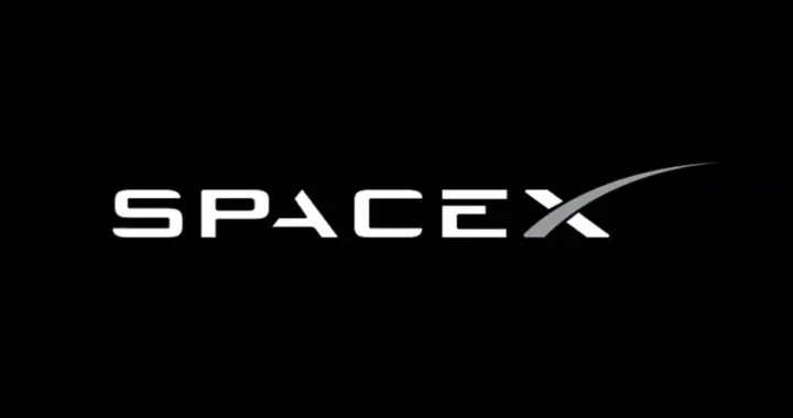 SpaceX приобрела стартап Илона Маска xAI за 250 миллиардов долларов
