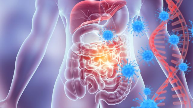 Когда иммунная система атакует сама себя