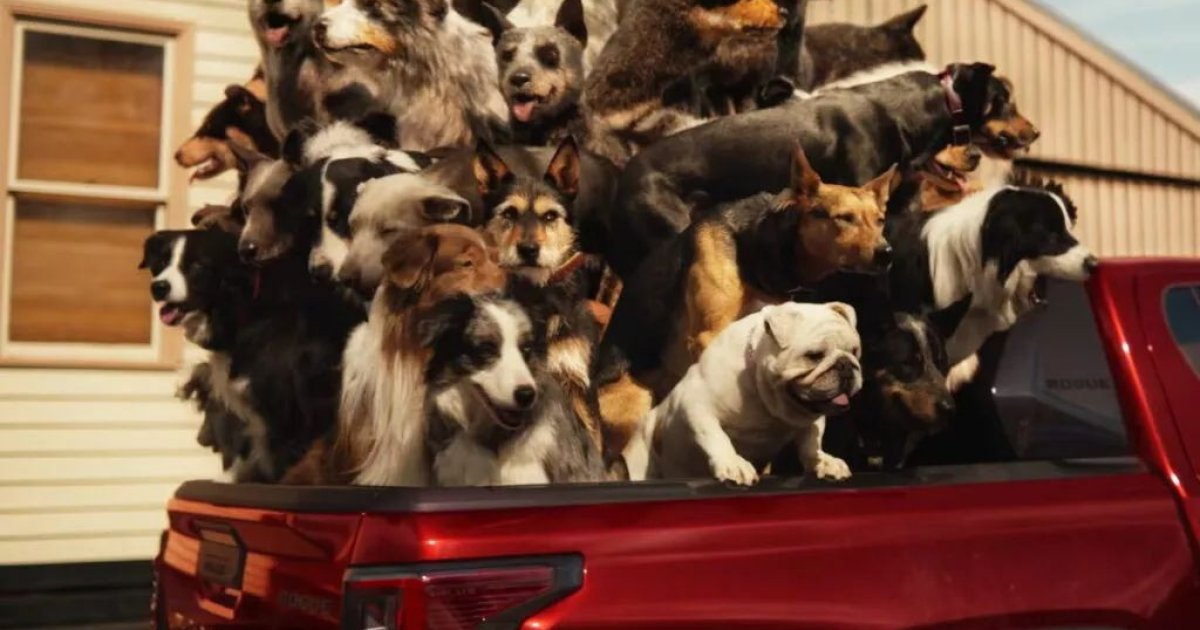 Toyota в очередной раз возмутила власти Австралии