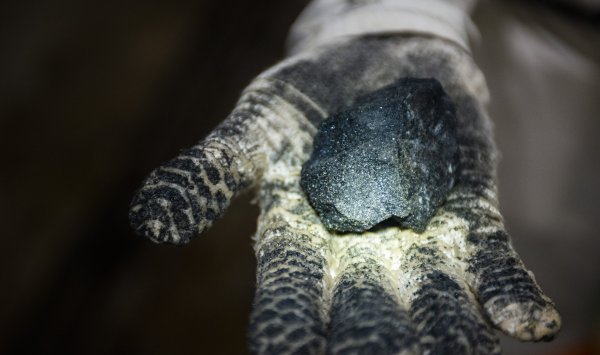 Новая «гонка за Африку» рискует превратиться в «разделяй и властвуй»