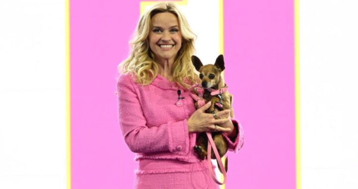 Риз Уизерспун в 50 лет — узнайте, каков ее интенсивный режим диеты и фитнеса