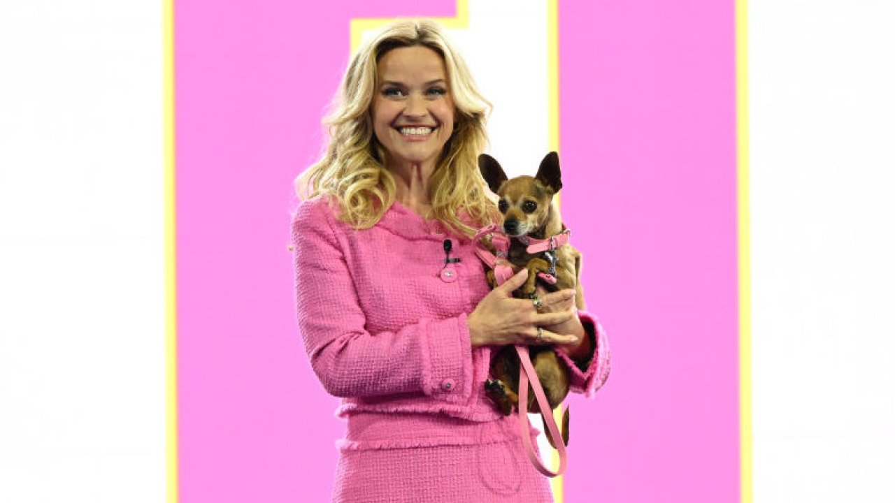 Риз Уизерспун в 50 лет — узнайте, каков ее интенсивный режим диеты и фитнеса