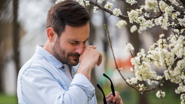 Весенняя аллергия – профилактика начинается за несколько недель до ее проявления