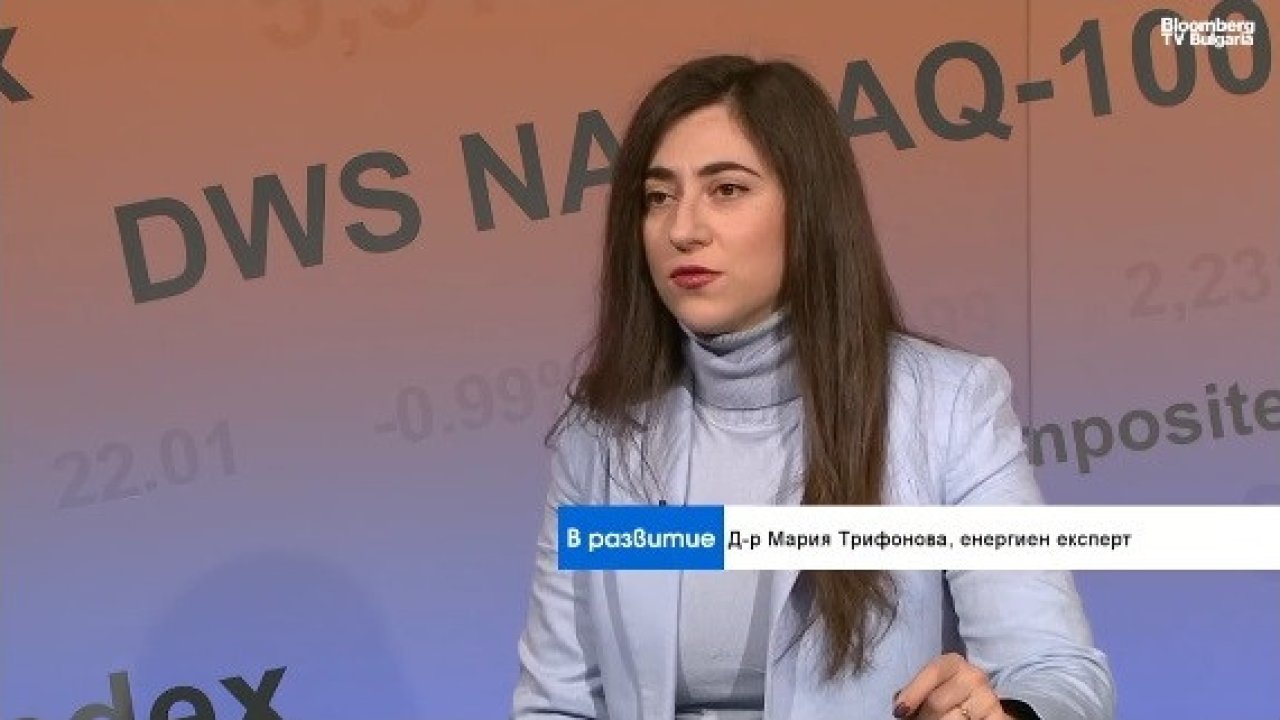 Цена на электроэнергию не отражает реальности: отсутствие реформ тянет Болгарию назад