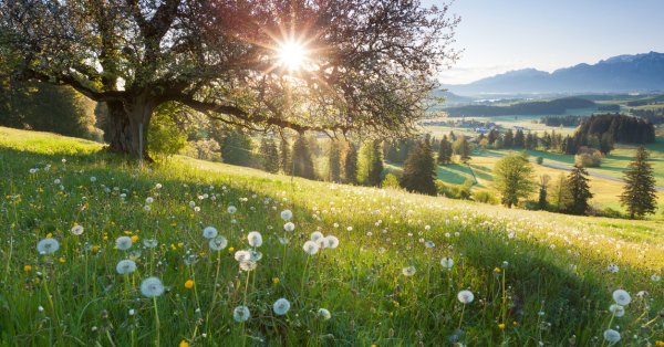 Ваш гороскоп на 2 марта