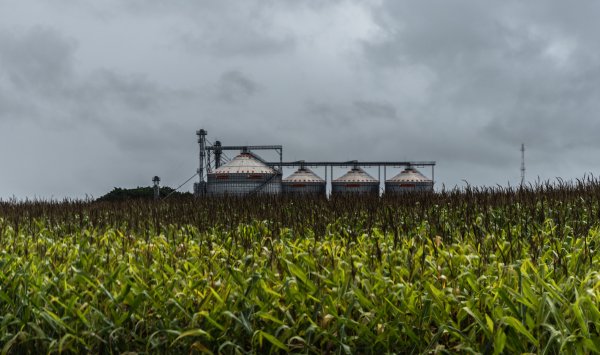 Суматоха в сфере удобрений углубляется по мере появления новых рисков