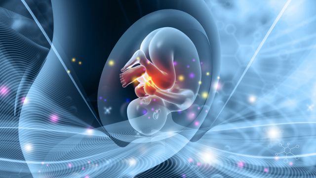 Терапия стволовыми клетками во время беременности дает новую надежду на расщелину позвоночника