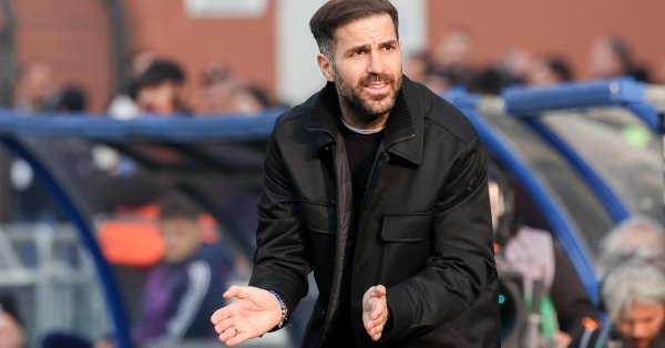 Катеначо, меркато, высокая трава! Почему все в Серии А сражаются с Фабрегасом