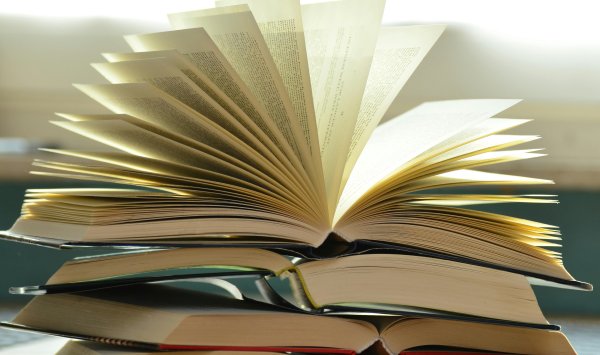 Критическое мышление без базовых знаний невозможно