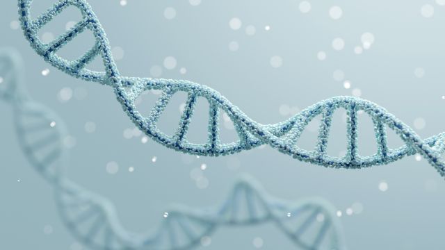 Синдром Видемана-Штайнера – генетическое заболевание, имеющее эпигенетическую основу.