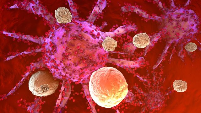 Можно ли избежать метаболического истощения Т-клеток в опухолях?