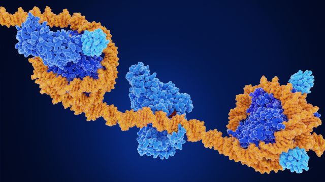 Скрытый переключатель рака: может ли новое открытие навсегда изменить лечение рака?