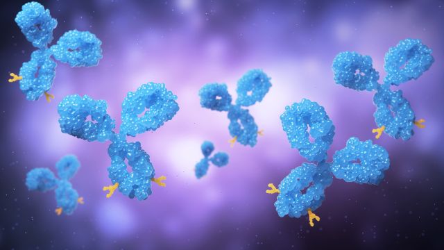 IgG4-ассоциированное заболевание – диагноз, сбивающий с толку специалистов всех направлений