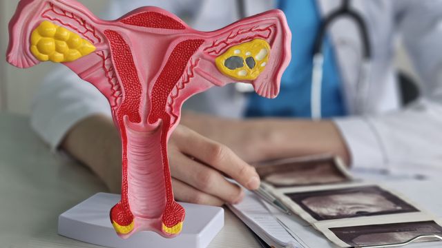 Истончение эндометрия – препятствие для зачатия?