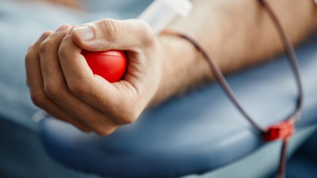 Мобильные бригады НЦТБ ждут доноров крови в Софии на Пасху