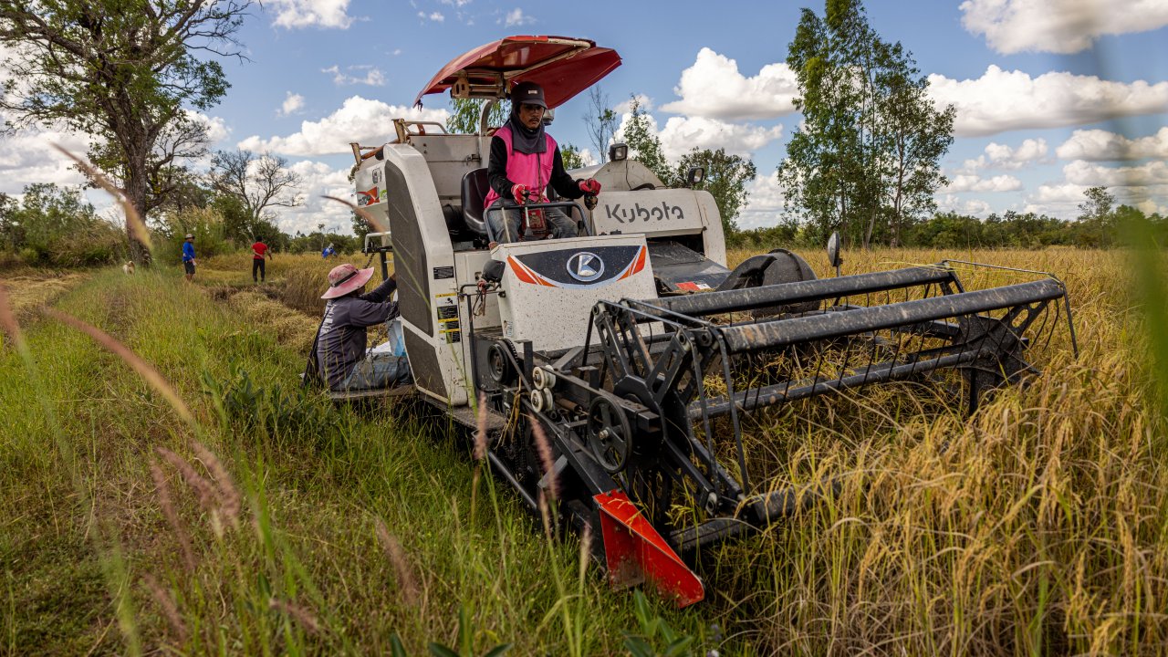 Нехватка топлива угрожает крупнейшему продовольственному урожаю в Азии