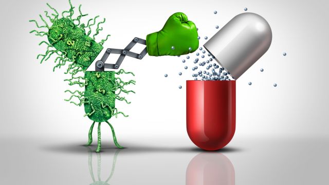 Засухи и изменение климата повышают риск устойчивости к антибиотикам