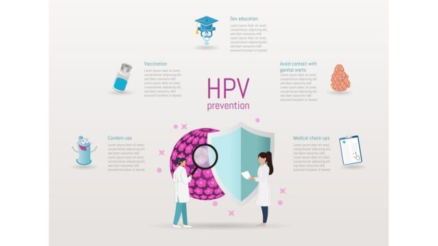 Вирус папилломы человека – какова профилактика?
