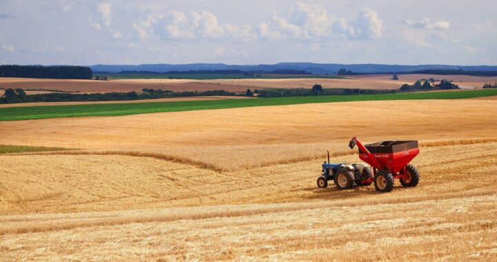 Органическое сельское хозяйство растёт, но бренд «Болгария» отсутствует