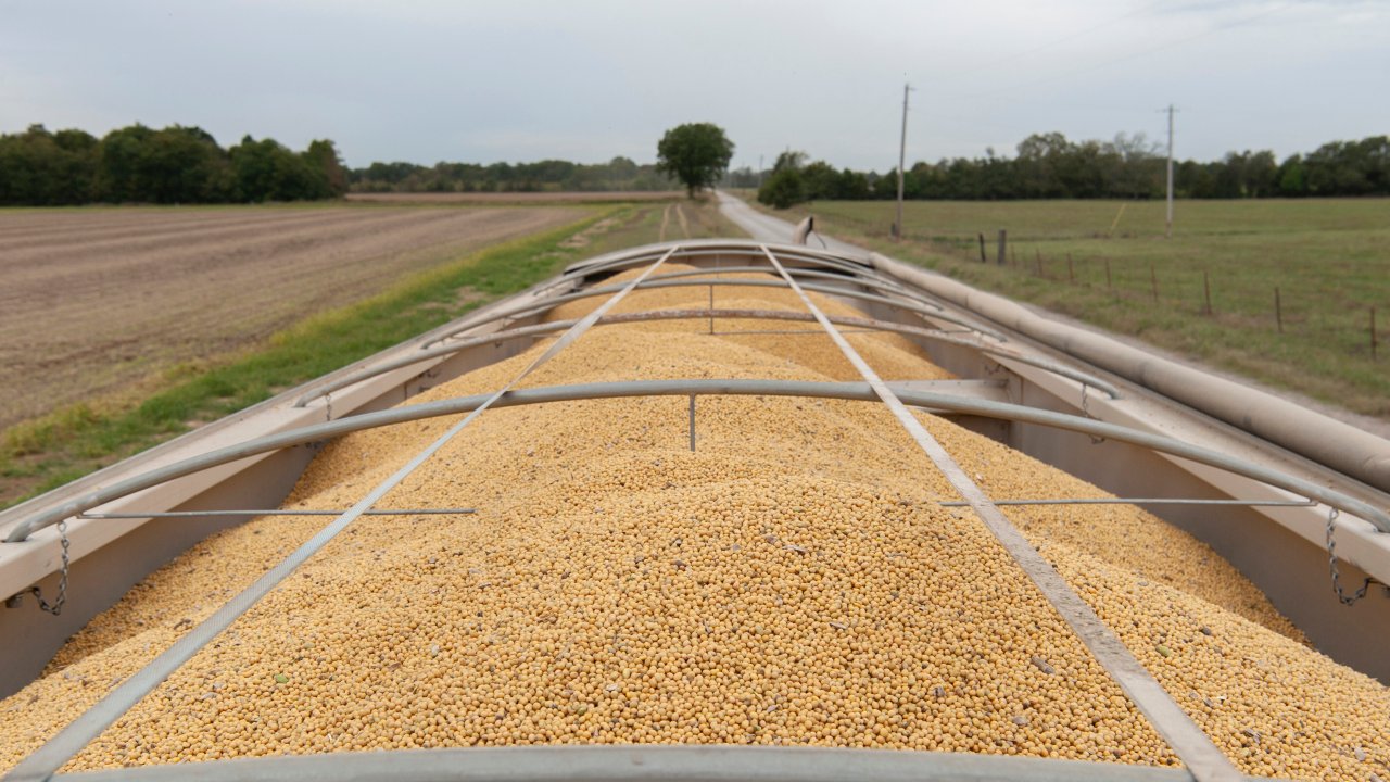 Углеводы за углеводы: приближается ли новый кризис цен на продукты питания?