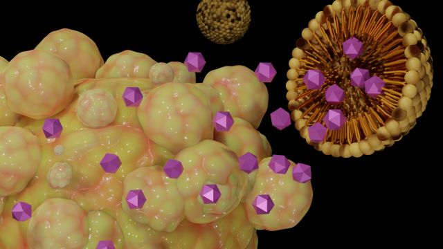 Белковые наночастицы как альтернатива вирусам в генной терапии