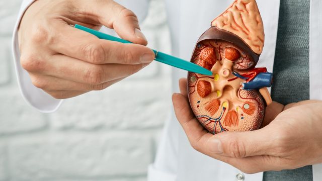 Двое мужчин получили шанс на новую жизнь после ситуации с донором в Пловдиве