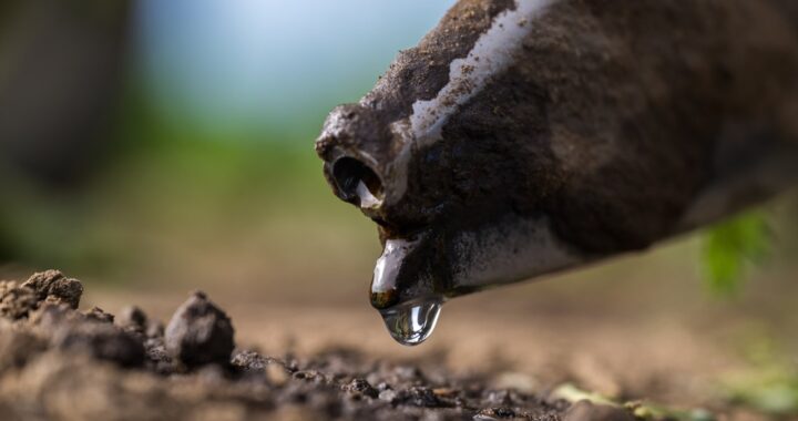 Товарные трейдеры больше не аполитичны